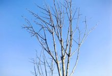 原来最好的相处,藏在“少说话”里_桂启洪个人网站