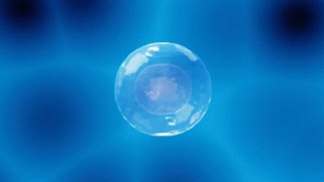 现实中，人类细胞大约每两年分裂一次，这也就注定了多数人难超百岁。